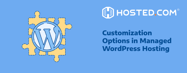 WordPress Customization Options
