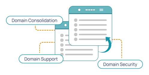 How Bulk Domain Transfer Works