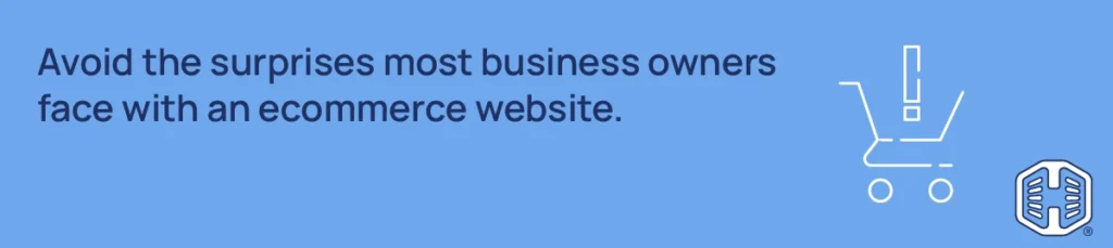 Strip Banner Text - Avoid the surprises most business owners face with an ecommerce website