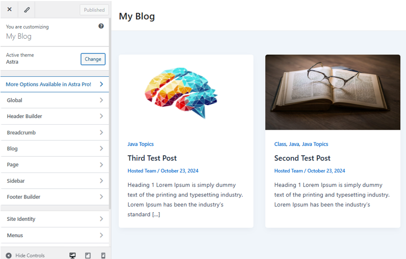 How to Update a WordPress Theme: 5 Effective Methods - Theme Customizer
