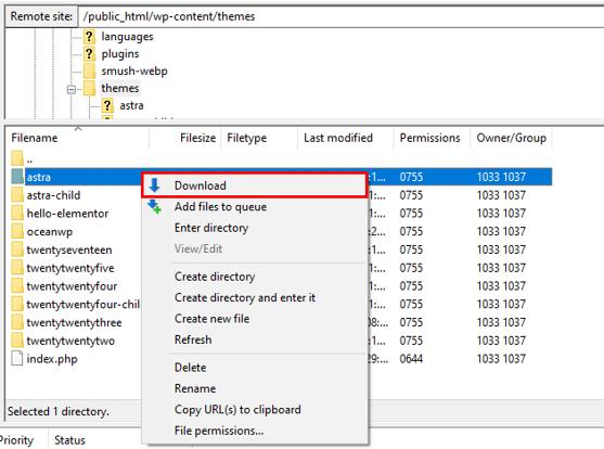 How to Update a WordPress Theme: 5 Effective Methods - Download Old Theme Folder as Backup