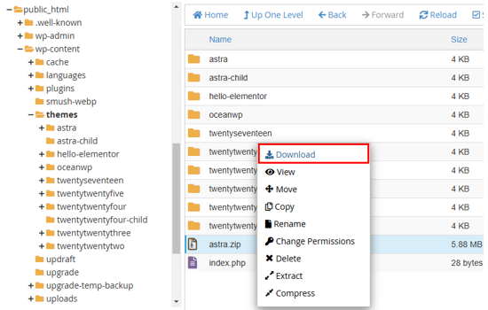 How to Update a WordPress Theme: 5 Effective Methods - Download Theme Files