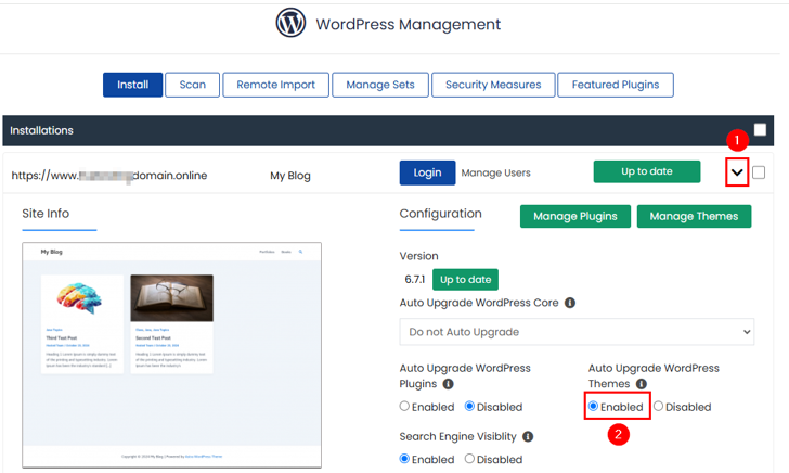 How to Update a WordPress Theme: 5 Effective Methods - Upgrade WordPress Theme Every 24 Hours