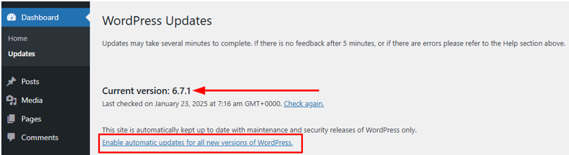 WordPress Automatic Updates: How to Manage & Best Practices - Enable Automatic Updates for WordPress Major Releases WordPress Automatic Updates - Enable Automatic Updates for WordPress Major Releases