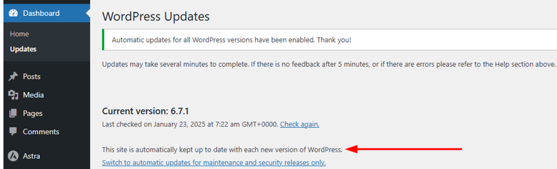 WordPress Automatic Updates: How to Manage & Best Practices - Enable Auto Updates for Major Releases in WordPress WordPress Automatic Updates - Enable Auto Updates for Major Releases in WordPress