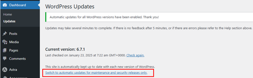 WordPress Automatic Updates: How to Manage & Best Practices - Revert to WordPress Minor Auto Updates WordPress Automatic Updates - Revert to WordPress Minor Auto Updates