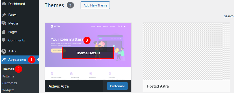 WordPress Automatic Updates: How to Manage & Best Practices - Access Theme Details WordPress Automatic Updates - Access Theme Details