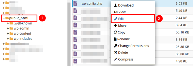 WordPress Automatic Updates: How to Manage & Best Practices - Edit wp-config.php File WordPress Automatic Updates - Edit wp-config.php File