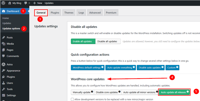WordPress Automatic Updates: How to Manage & Best Practices - Enable WordPress Automatic Updates via Plugin WordPress Automatic Updates - Enable WordPress Automatic Updates via Plugin