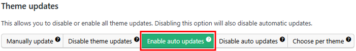 WordPress Automatic Updates: How to Manage & Best Practices - Enable Auto Updates for All Installed Themes WordPress Automatic Updates - Enable Auto Updates for All Installed Themes