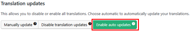 WordPress Automatic Updates: How to Manage & Best Practices - Activate Translation Updates WordPress Automatic Updates - Activate Translation Updates