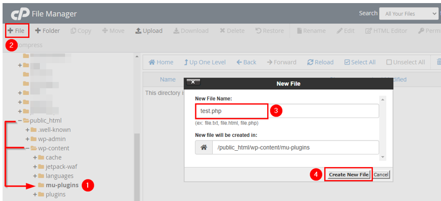 WordPress Automatic Updates: How to Manage & Best Practices - Create New PHP File WordPress Automatic Updates - Create New PHP File