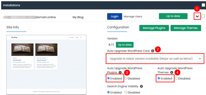 WordPress Automatic Updates: How to Manage & Best Practices - Enabled Auto Updates for WordPress Core, Plugins, and Themes WordPress Automatic Updates - Enabled Auto Updates for WordPress Core, Plugins, and Themes