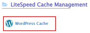 How To Host Websites For Clients: Beginner's Guide - Access LiteSpeed Cache Management How To Host Websites For Clients - Access LiteSpeed Cache Management