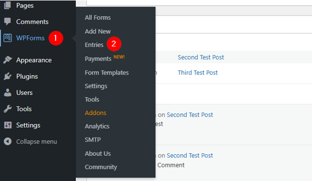 How To Prevent WordPress Contact Form Spam 8 Proven Tips - Access WPForms Enteries Prevent WordPress Contact Form Spam - Access WPForms Enteries