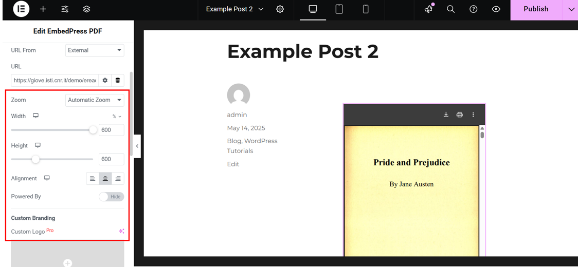 How To Embed A PDF In WordPress: Manual & Plugin Setup - Adjust Viewer Settings How To Embed A PDF In WordPress - Adjust Viewer Settings