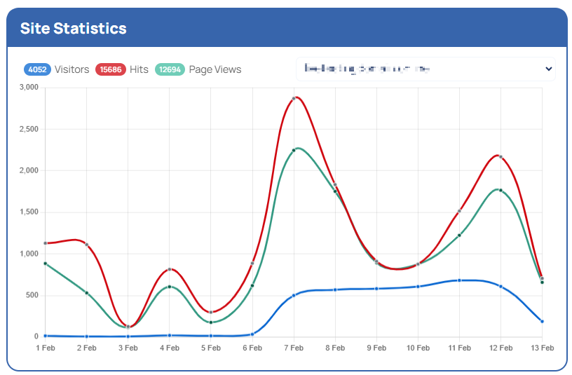 Please Explain The Meaning Of Website Statistics – Website Stats The Meaning Of Website Statistics - Website Stats