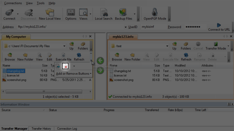How To Upload Files Using CuteFTP - Hosted.com